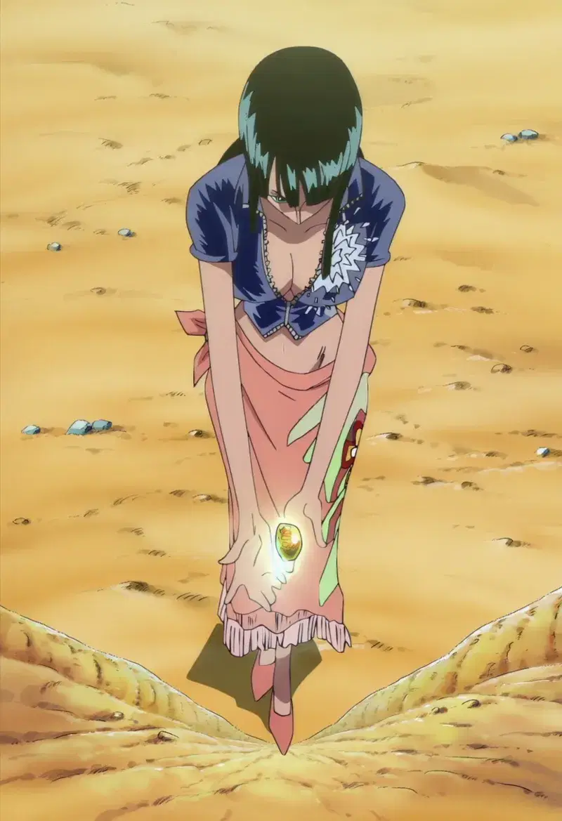 Colección de One Piece (Patreon)